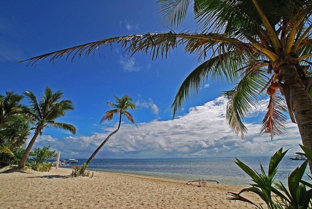 Malapascua Exotic Island Dive Resort Daanbantayan Luaran gambar